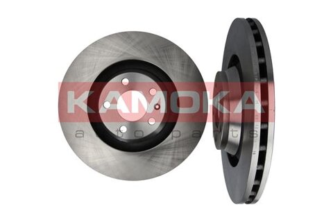 Obrázok Brzdový kotúč Kamoka Auto Parts 1032476